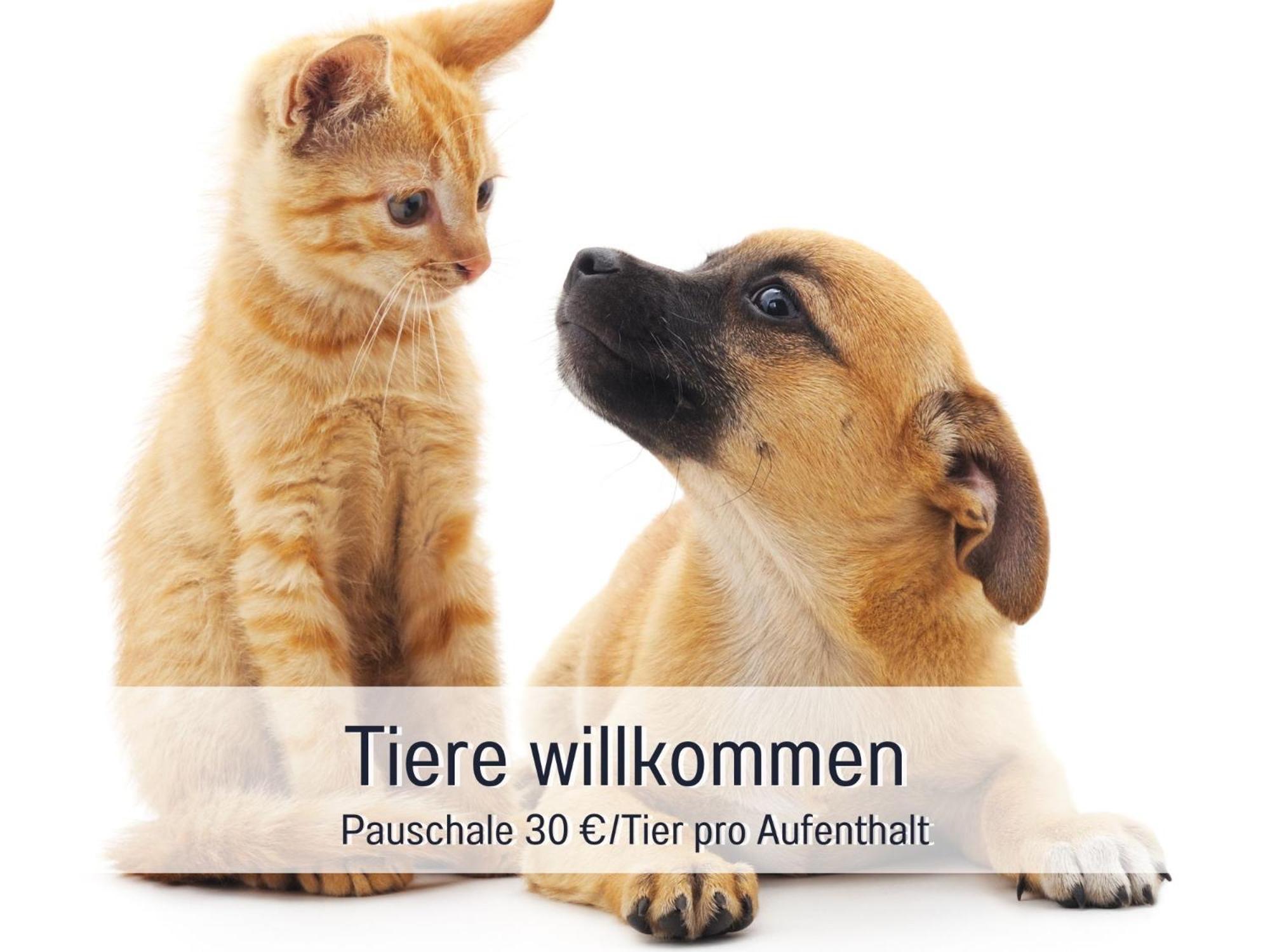 Sonnenterrasse - 3 Schlafzimmer, Whirlpool & Alpenblick - Perfekt Fuer Romantik Oder Familienurlaub Mit Kind , Hund Willkommen By Ferienwohnenamsee - Uberlingen Ngoại thất bức ảnh