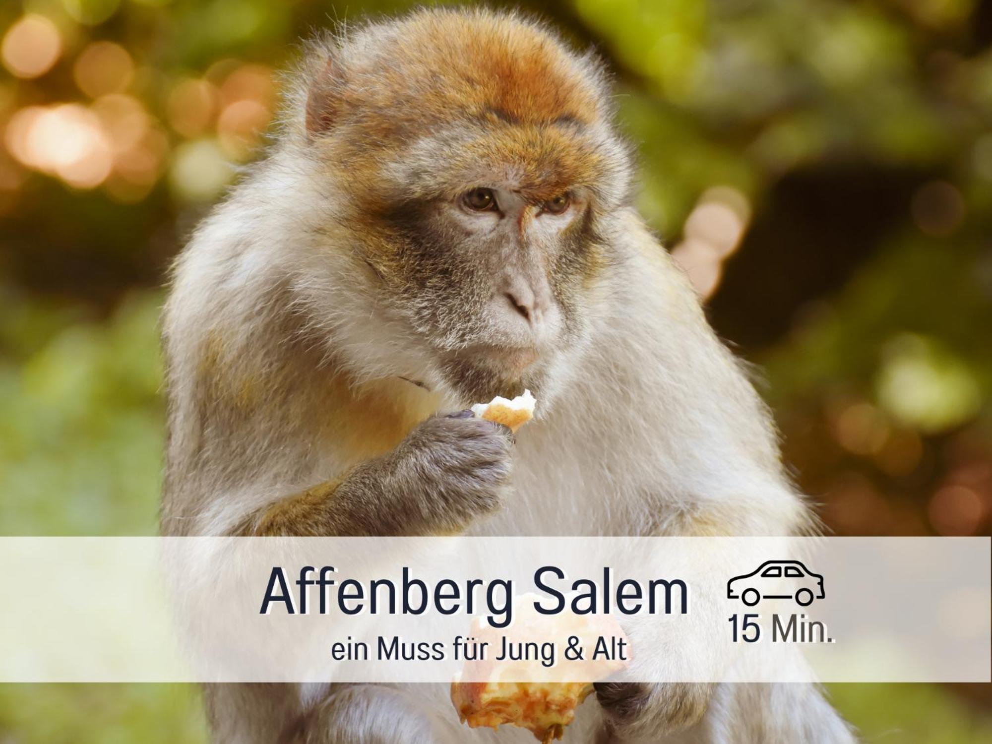 Sonnenterrasse - 3 Schlafzimmer, Whirlpool & Alpenblick - Perfekt Fuer Romantik Oder Familienurlaub Mit Kind , Hund Willkommen By Ferienwohnenamsee - Uberlingen Ngoại thất bức ảnh