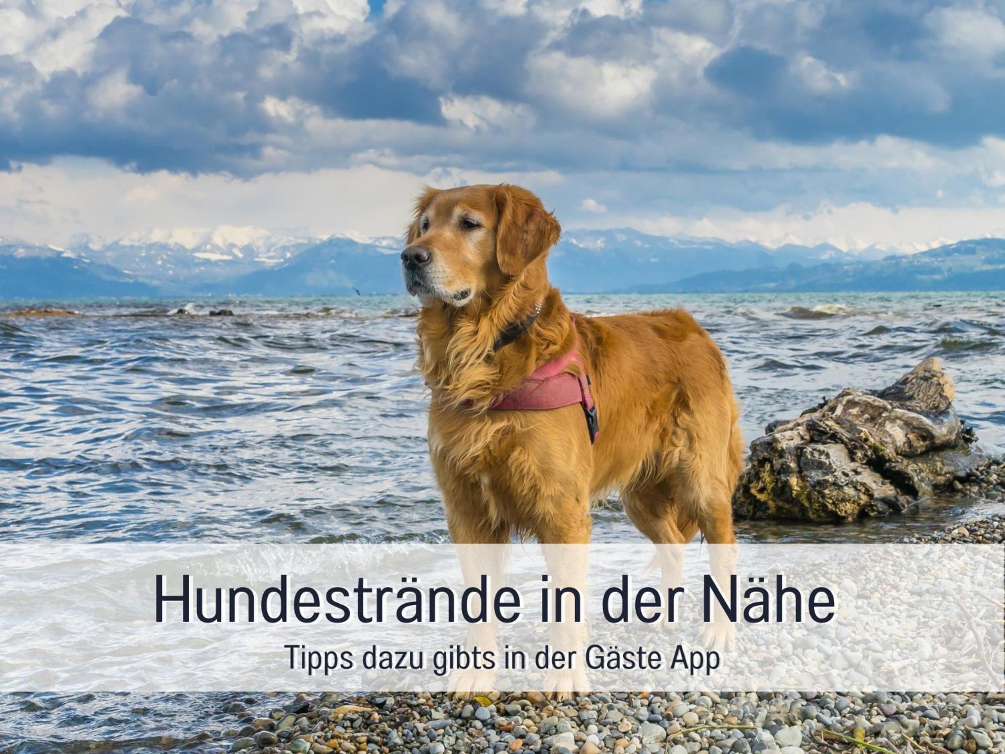 Sonnenterrasse - 3 Schlafzimmer, Whirlpool & Alpenblick - Perfekt Fuer Romantik Oder Familienurlaub Mit Kind , Hund Willkommen By Ferienwohnenamsee - Uberlingen Ngoại thất bức ảnh