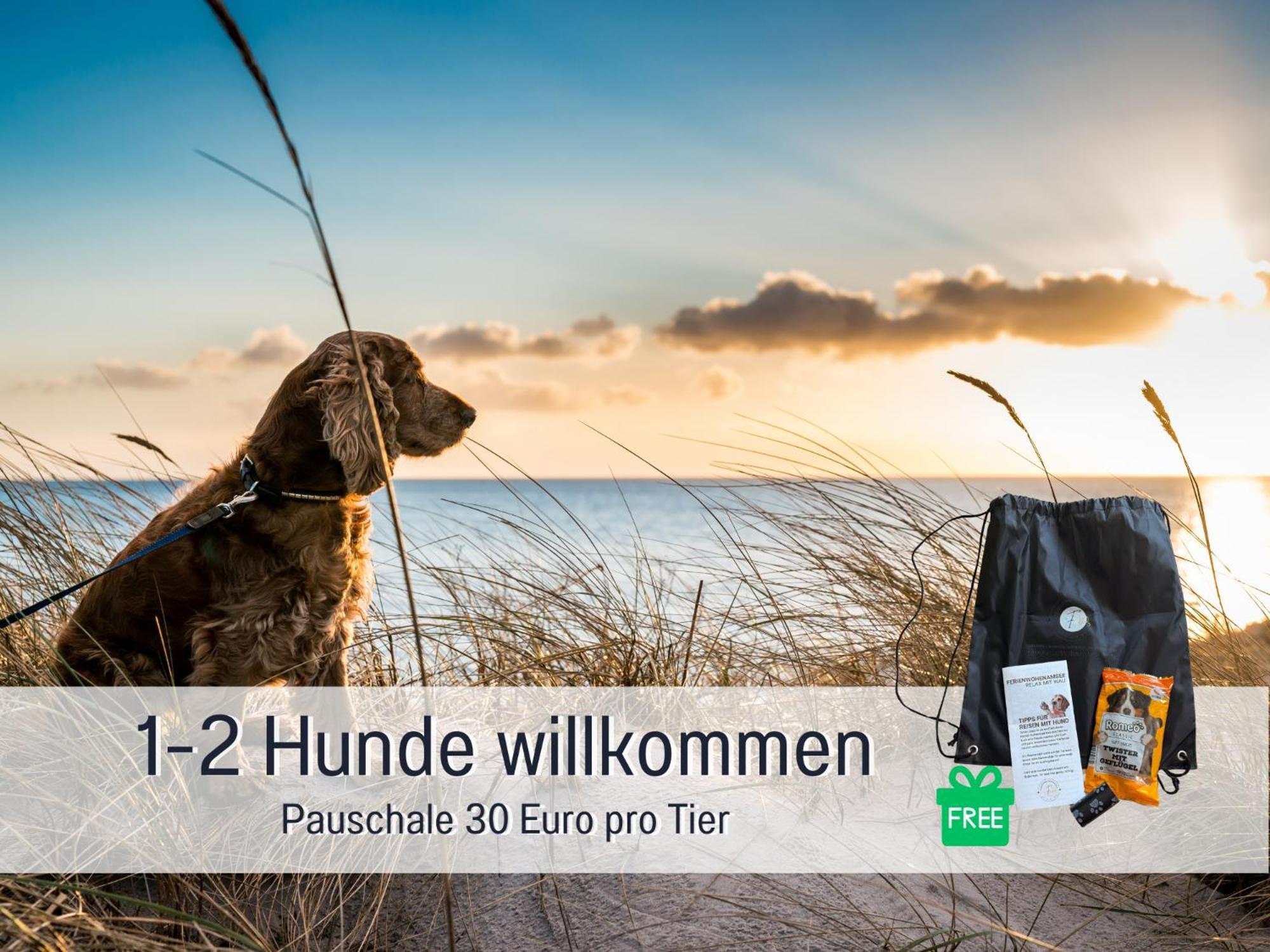 Sonnenterrasse - 3 Schlafzimmer, Whirlpool & Alpenblick - Perfekt Fuer Romantik Oder Familienurlaub Mit Kind , Hund Willkommen By Ferienwohnenamsee - Uberlingen Ngoại thất bức ảnh